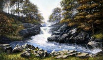 Skelwith Force